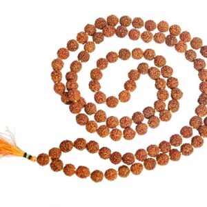 Rudraksh Mala